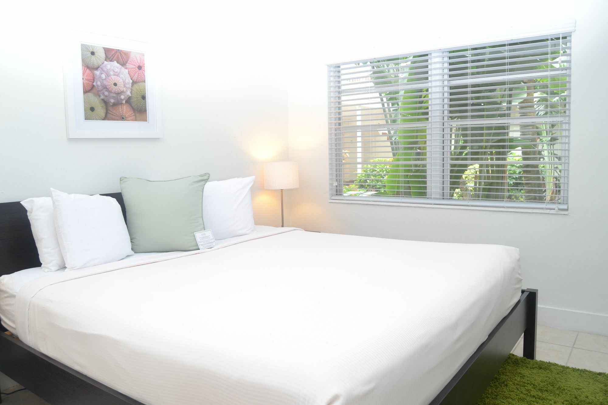 Solas A North Beach Village Resort Hotel Fort Lauderdale Exterior foto